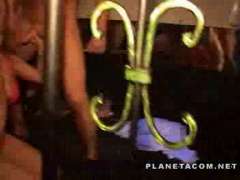 wilde fick sexparty (4)